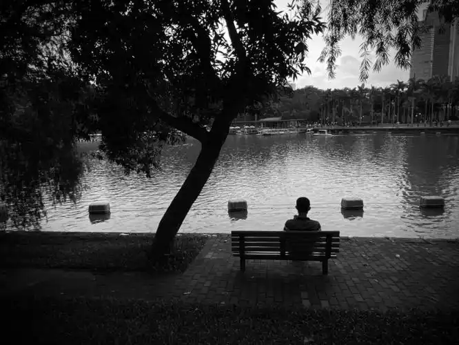 有时候也需要独处的安静