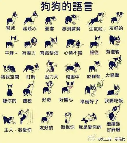 狗狗的各种动作代表的含义是什么.求指教.狗狗的肢体语言微信