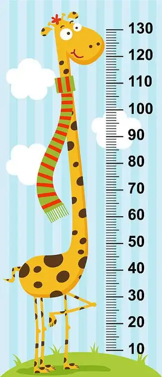 长颈长颈鹿高度测量插画