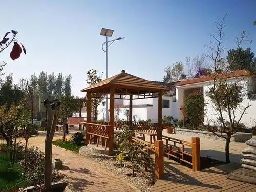 微山县傅村街道杨楼一村:绘就美丽乡村新画卷