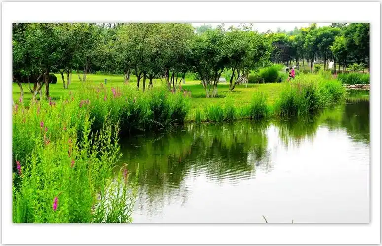 【夏日小河边】 第 9 幅查看大图曝光:16667/100000