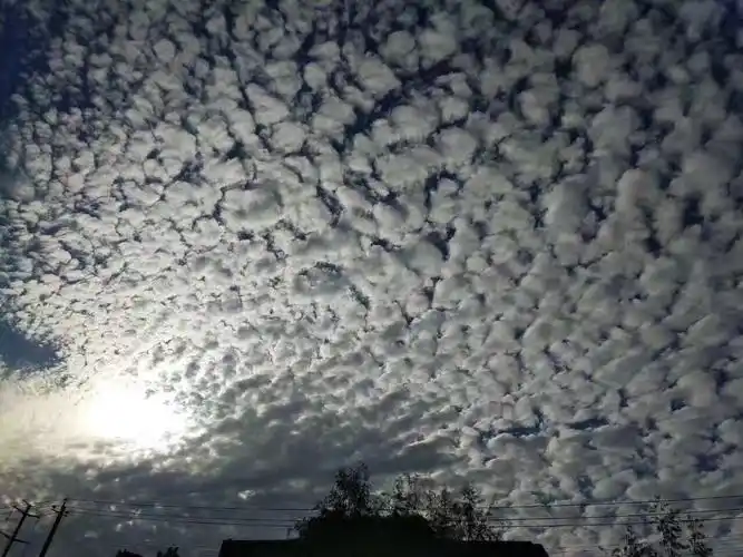 长春天空出现"地震云"?不!这是絮状高积云!