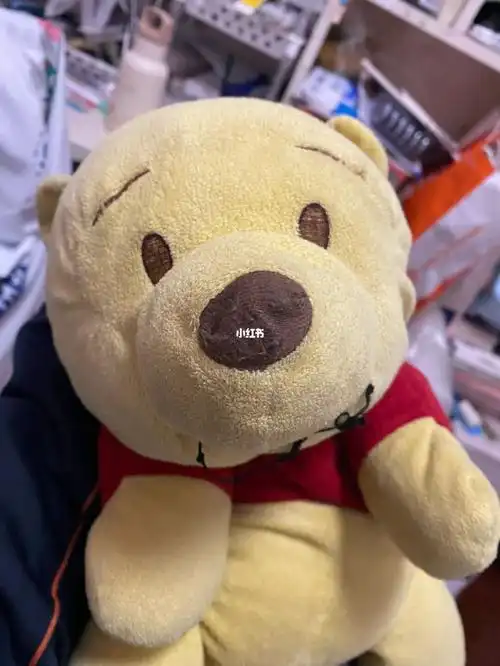 winnie_the_pooh_兴趣爱好_益智玩具