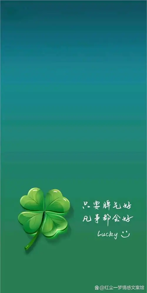 在寻找四叶草的过程中,我们如同在人生的道路上不断探索,寻找属于自己