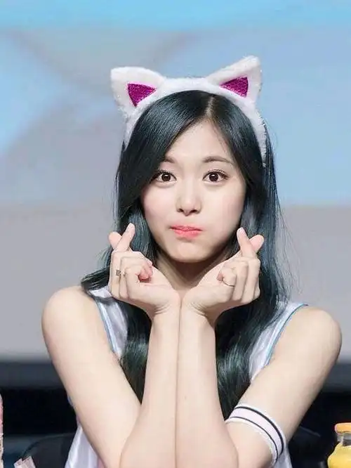 周子瑜在韩国出道,作为twice门面,可以坐地吸粉.