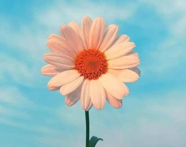 朋友圈积极向上的句子满满正能量让你斗志昂扬