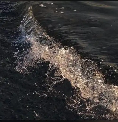 qq背景图.(拿图评论).