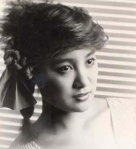 69岁陈盈洁被曝将入狱,欠钱不还,教唆教唆伪造证券,晚年凄惨