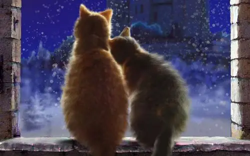 图片 夕阳下的猫 唯美的那种 希望是 夕阳下 猫咪蹲坐在屋顶看海的