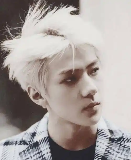 坤坤_头发_白色