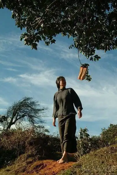 《太阳照常升起》|只能说你没懂,不能说你没看见