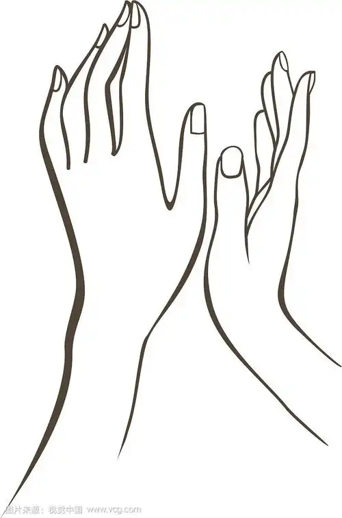 女性手部轮廓图