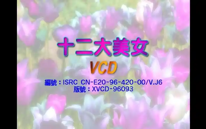 十二大美女海底城泳装歌唱秀vcd版