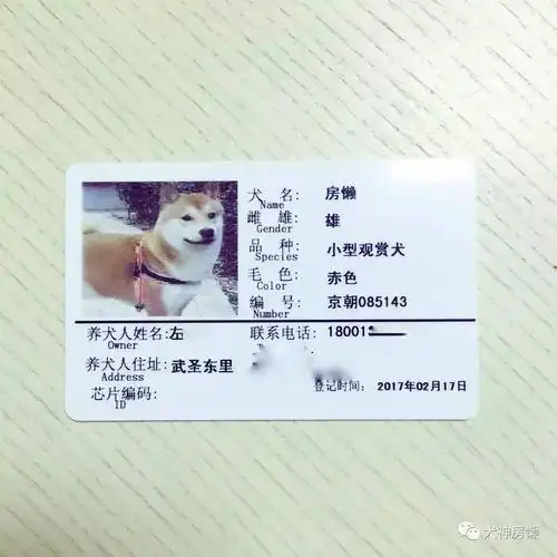 其它 文明养犬 净美无限 写美篇一,北京市养犬规定(二)        养犬人