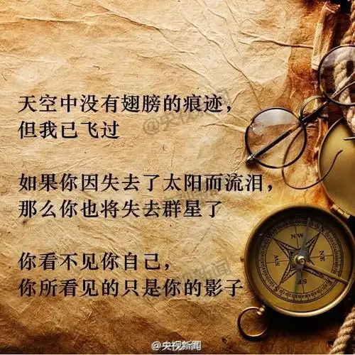 泰戈尔那些优美的诗句哪一句触动了你的心弦