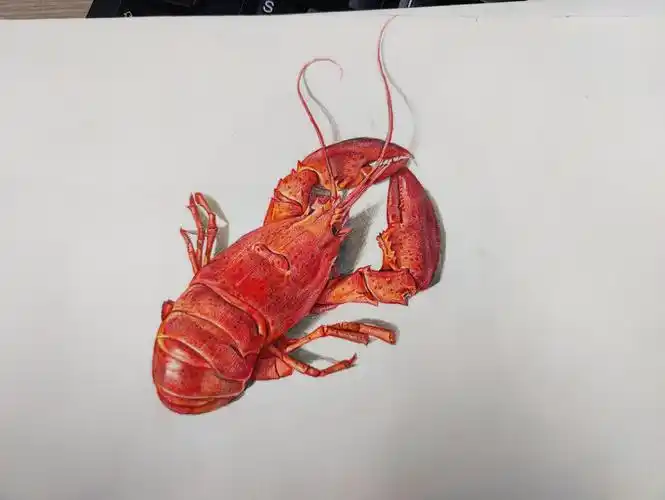 今天分享彩铅画小龙虾的主要技巧:①铅笔打形:用铅笔勾勒出小