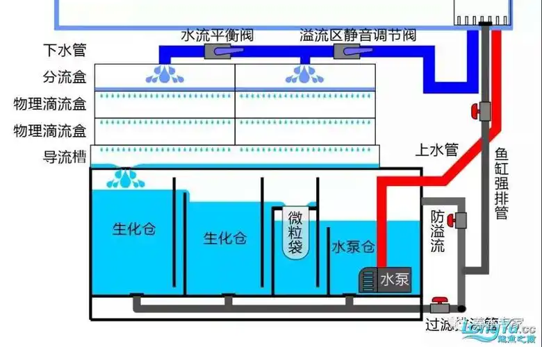 活动奖品广兴鱼缸--综合测评