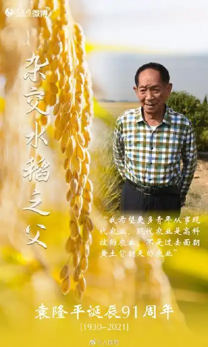 今天,重温袁隆平的话