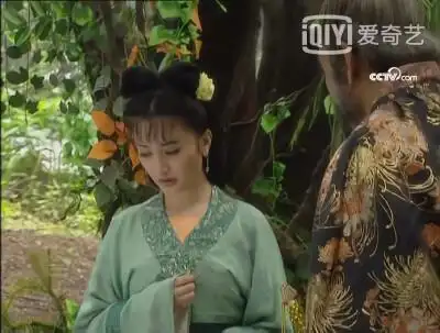 西游记续集 虞梦~白面狐狸