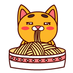 壮壮猫吃货专题qq表情包 24 张