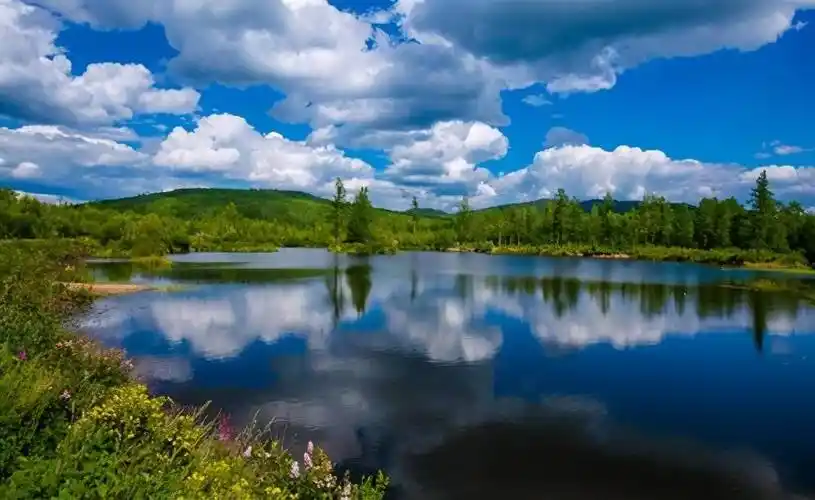 区交界,东与塔河县接壤,北隔黑龙江与俄罗斯外贝加尔边疆区(原赤塔州)