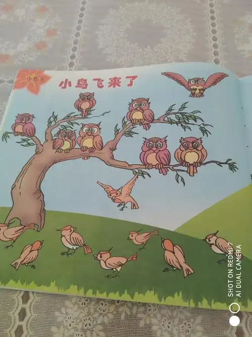 "停课不停学"朱刘街道万山幼儿园假期指导活动——《小鸟飞来了》