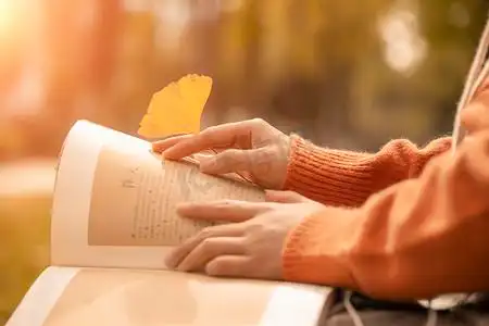 看书的女子下午女子树林树林摄影图配图