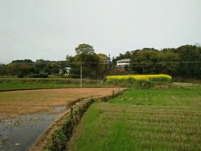春舞桃花休闲 武陵渔村相见