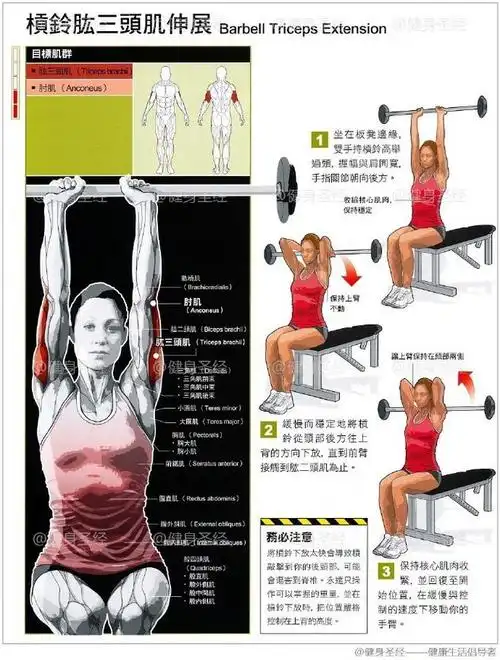 【杠铃肱三头肌伸展】这个动作可以同时训练到双手的肱三头肌,你可以