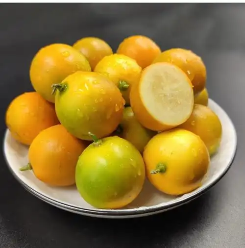 金桔新鲜桂林脆皮甜广西小金桔5斤水果当季柑橘融安滑皮桔子网红