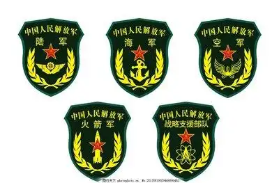 六,中国人民解放军五大军种肩章