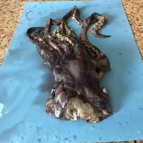 frozen indian ocean squid tentacles with skinless