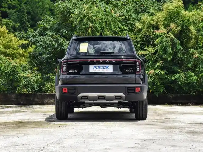 长城汽车 哈弗大狗 2024款 1.5t dct拉布拉多版