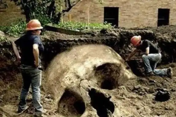 世界第一巨人高5米头骨比人大真相令人咂舌身高5米