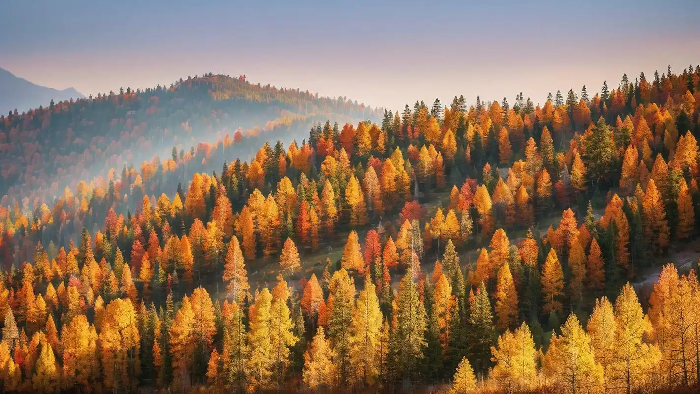 99无论是山川湖海,还是日出日落,每一幅都仿佛能治愈你的心灵.