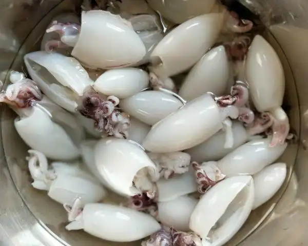 小墨鱼仔处理清洗净,用手指头挤着把嘴拽出来.