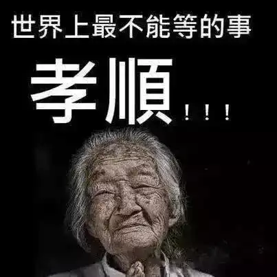 这个养子啃老却不养老招来重怒!