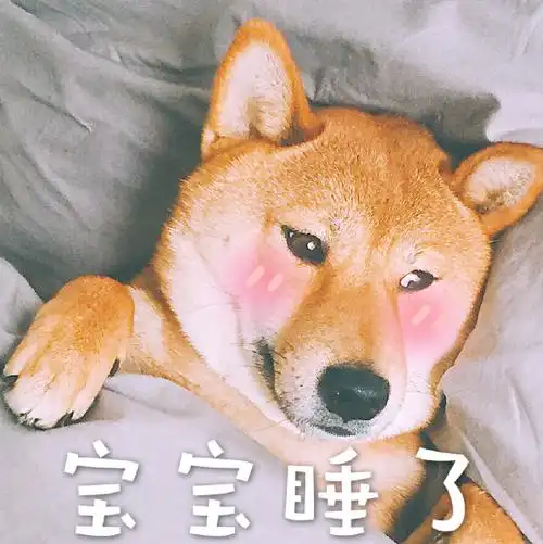 萌宠 汪星人 宝宝睡了 我要睡觉了 憨憨 可爱