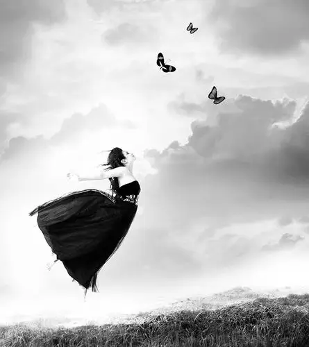 蝴蝶的梦就这样简单只想默默轻舞一生《蝴蝶》蝴蝶醒来 黄昏已经遥远