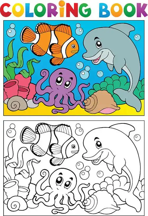 用贝壳涂色的书