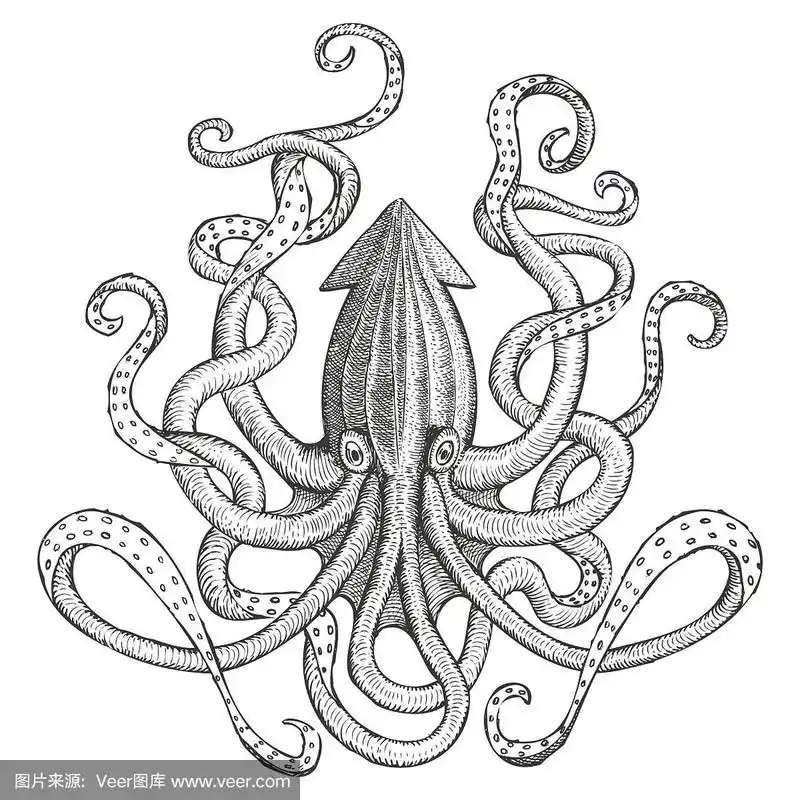 海怪-巨型鱿鱼