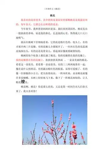 三年级作文桃花