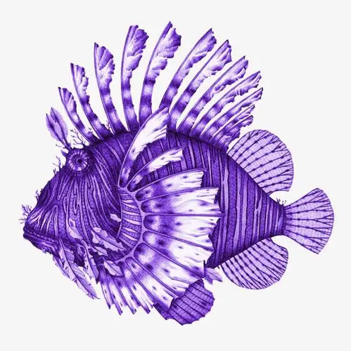 卡通海洋鱼动物png素材-90设计