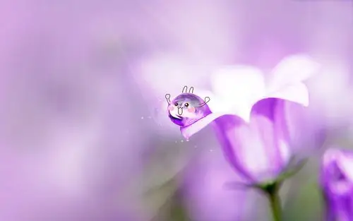 小清新简约背景高清桌面壁纸