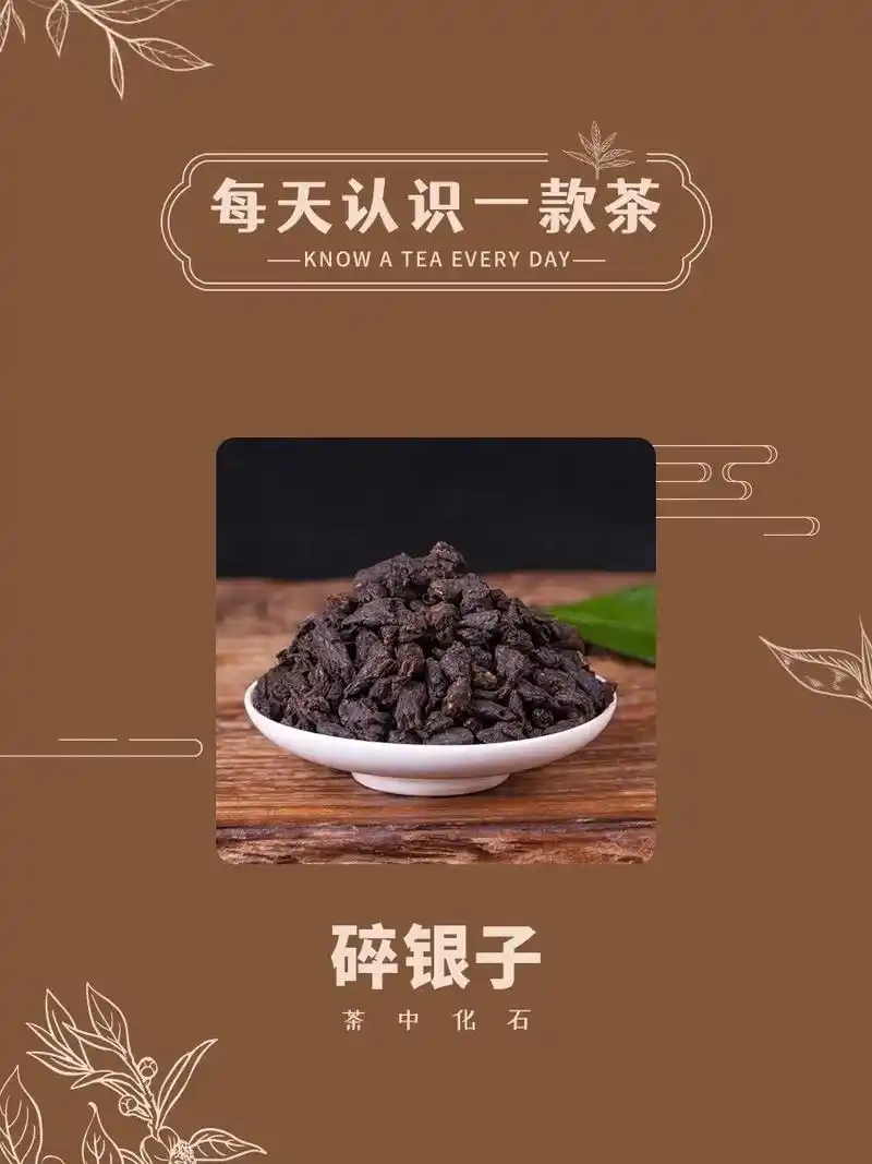 普洱茶界的"科技与狠活"|每天认识一款茶.95 碎银子,是一 - 抖音