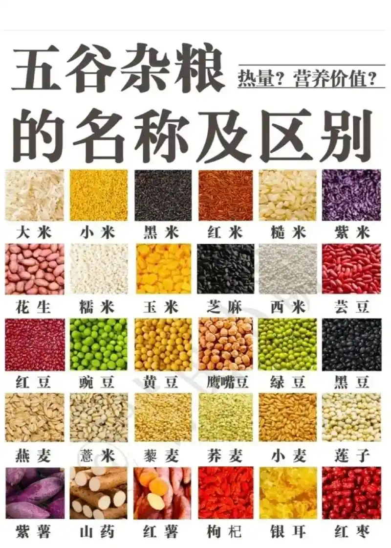 五谷杂粮的名称及区别#五谷杂粮 #粗粮 #五谷杂粮吃出健康  - 抖音