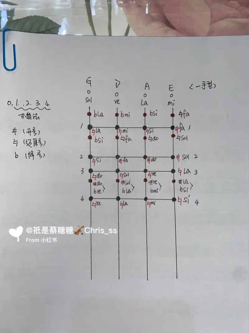 小提琴一把位四根弦所有音的位置 帮初级学生整理的,以一手型为基础