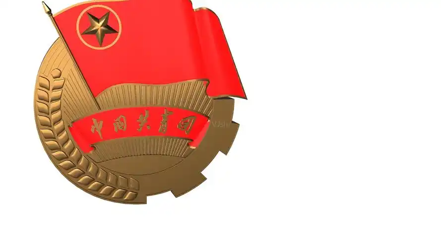 党政团徽通道视频