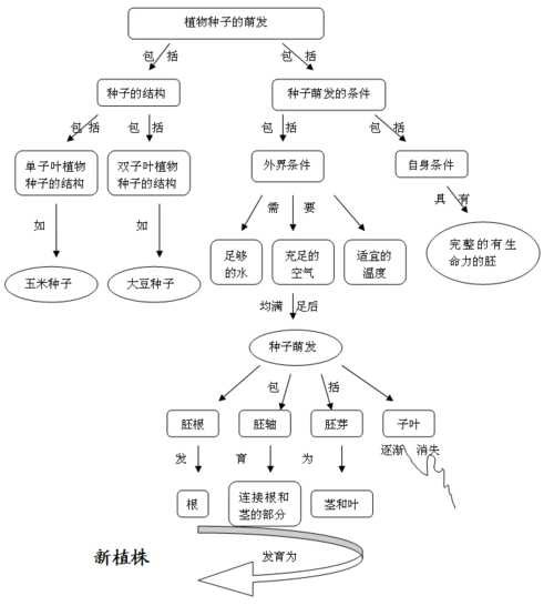 植物种子的萌发