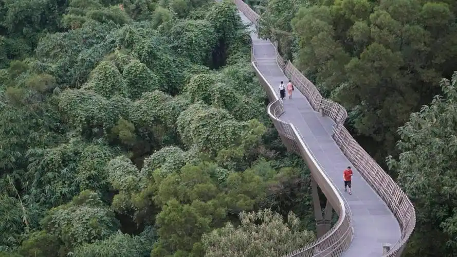 游福州金牛山"福道"